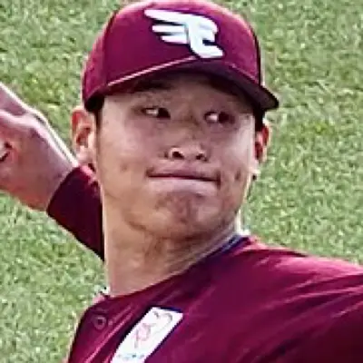 内星龍