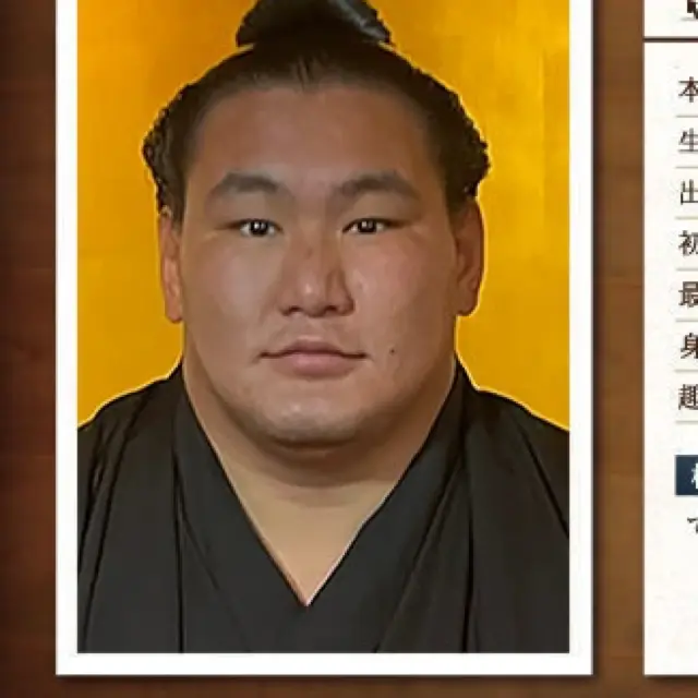 豊昇龍